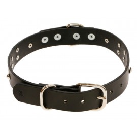 Der Wolf Collar extra grande negro para perro - Envío Gratuito