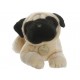 Aurora Peluche Pug - Envío Gratuito