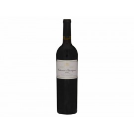 Vino Tinto Santo Tomás Cabernet Sauvignon 750 ml - Envío Gratuito