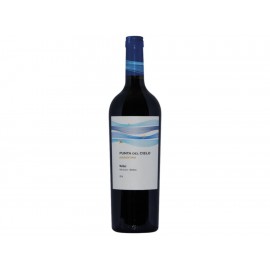 Vino Tinto Punta del Cielo Malbec 750 ml - Envío Gratuito