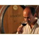 Vino Tinto Valentín Bianchi 2009 750 ml - Envío Gratuito