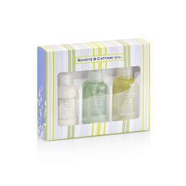 Mini Kit Revitalizante Té Verde y Basil Schätz & Cattani 60 ml - Envío Gratuito