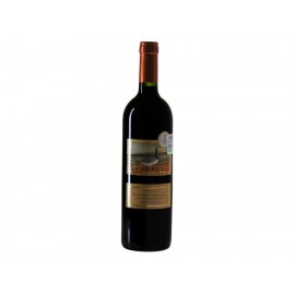 Vino Tinto Phebus Patagonia Malbec-Syrah 2011 750 ml - Envío Gratuito