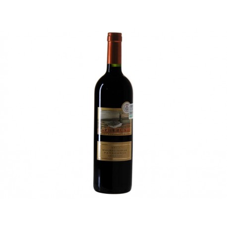 Vino Tinto Phebus Patagonia Malbec-Syrah 2011 750 ml - Envío Gratuito