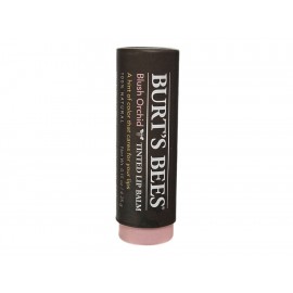 Lip Balm Tinted Blush Orquídea Burt's Bees - Envío Gratuito