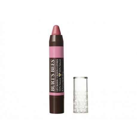 Burt's Bees Lip Crayon Carolina Coast 3.11 g - Envío Gratuito