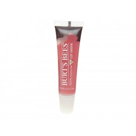 Lip Shine Blush 020 Burt's Bees - Envío Gratuito