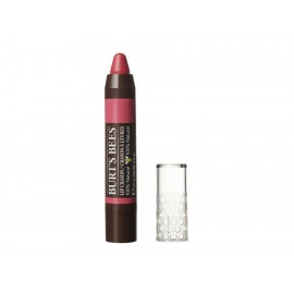 Burt's Bees Lip Crayon Niagra Overlook 3.11 g - Envío Gratuito