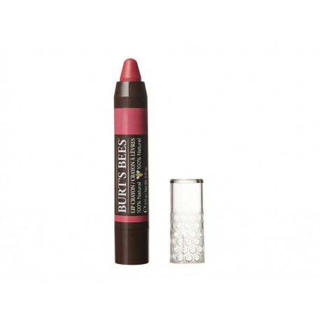 Burt's Bees Lip Crayon Niagra Overlook 3.11 g - Envío Gratuito