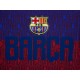 Wetshirt Barcelona FC Barcelona para niño - Envío Gratuito