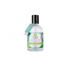 Natural Scents Eucalipto & Menta Spray Esencial Unisex 120 ml - Envío Gratuito