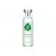 Agua de Colonia Fuji Green Tea The Body Shop - Envío Gratuito