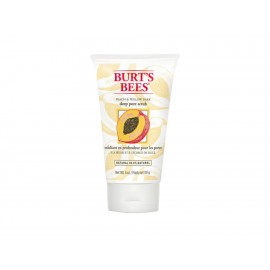 Burt's Bees Exfoliante Facial Profundo para Poros 110 g - Envío Gratuito