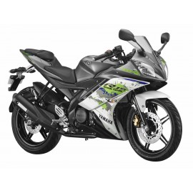 Motocicleta Yamaha YZF R15 150cc 2017 - Envío Gratuito