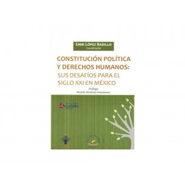 Constitución Política y Derechos Humanos Sus Desafíos para El Siglo 21 en México - Envío Gratuito